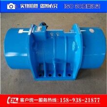 MVM系列三相異步振動(dòng)電機(jī)